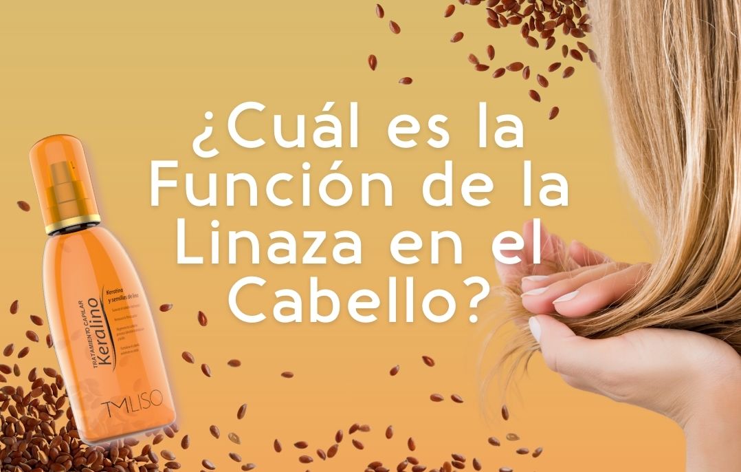 ¿Cuál es la Función de la Linaza en el Cabello?